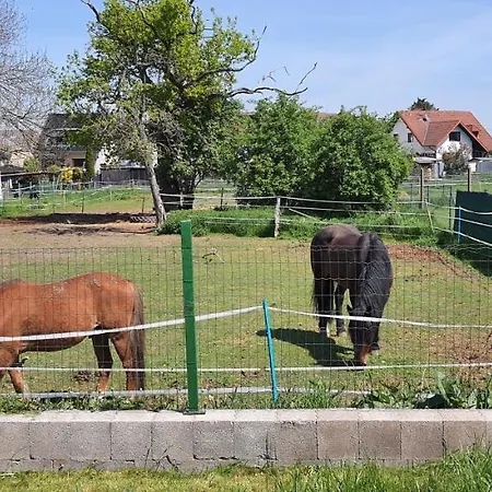 Homestay Gaeste Haus Am