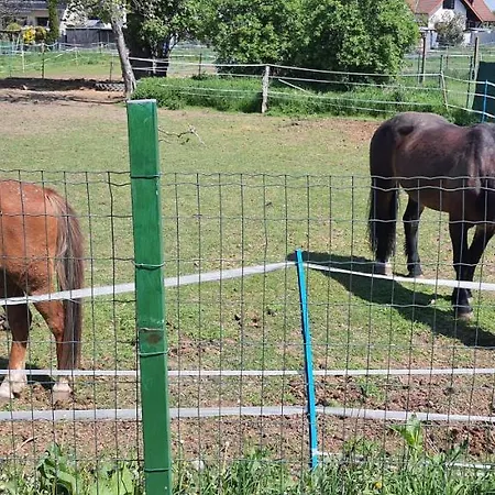 Gäste Haus Am Privatunterkunft