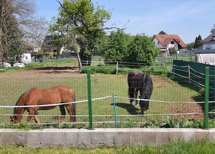 民宿 Gaeste Haus Am