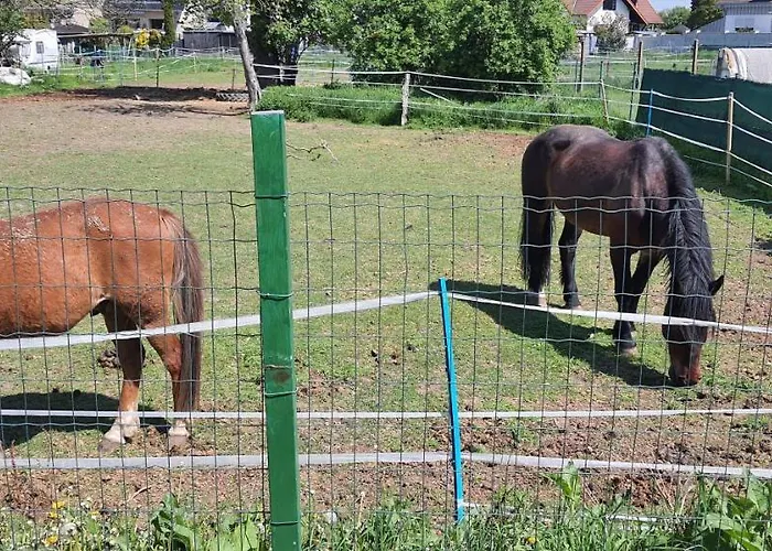 Gaeste Haus Am 民宿